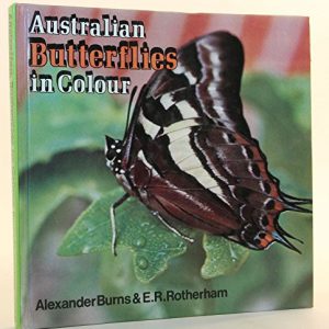Australian Butterflies in Colour
