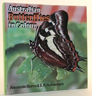 Australian Butterflies in Colour