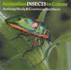 Australian Insects in Colour
