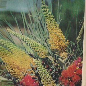 Australian Plants Volume 3: Issues 21-28
