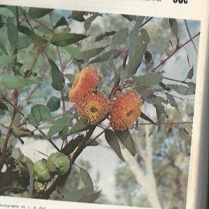 Australian Plants Volume 8: Issues 61-68