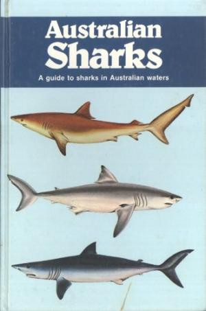 Australian Sharks: A Guide to Sharks in Australian Waters