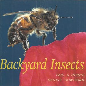 Backyard Insects