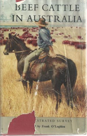 BEEF CATTLE IN AUSTRALIA 1956: An Illustrated Survey of the Beef Cattle Industry