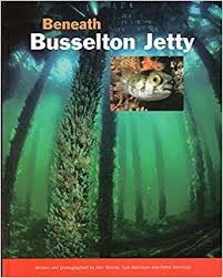 Beneath Busselton Jetty