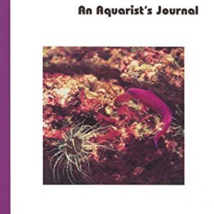 Breeding the Orchid Dottyback, Pseudochromis Fridmani: An Aquarist’s Journal