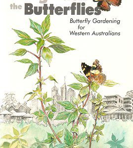 Bring Back the Butterflies: Butterfly Gardening for Western Australians