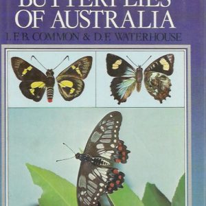 Butterflies of Australia