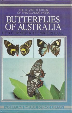Butterflies of Australia