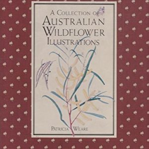 Collection of Australian Wildflower Illustrations, A