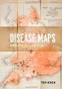 Disease Maps: Epidemics on the Ground