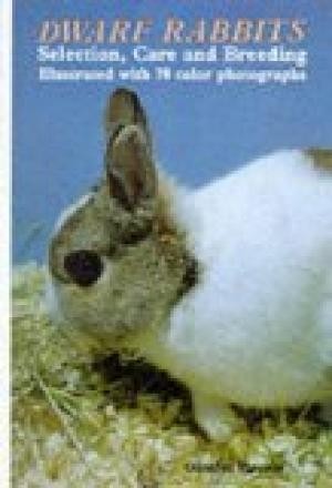 Dwarf Rabbits: Selection, Care and Breeding