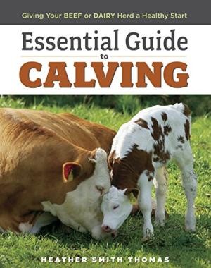 Essential Guide to Calving: Giving Your Beef and Dairy Herd a Healthy Start