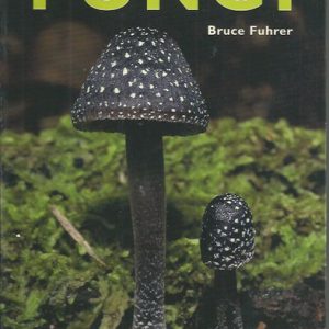 Field Guide to Australian Fungi, A