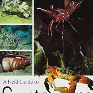 Field Guide to Crustaceans of Australian Waters, A