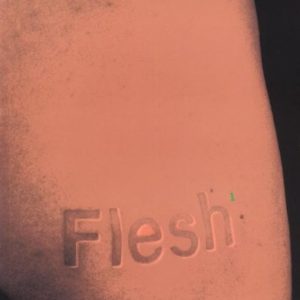 Flesh : architectural probes
