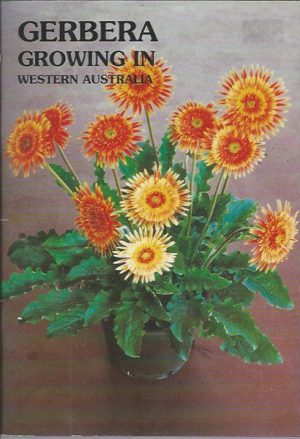 Gerbera Growing in Western Australia