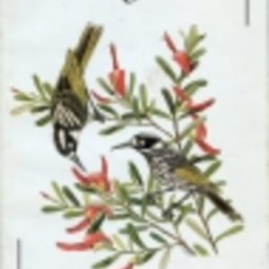 GROWING LOCALS: Gardening with Local Plants in Perth