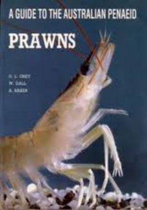 Guide to the Australian Penaeid PRAWNS, A