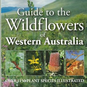 Guide to the Wildflowers of Western Australia: Over 1150 Plant Species Illustrated