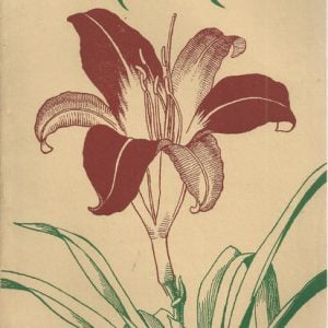 Herbertia 1941 Vol 8 Daylily Edition