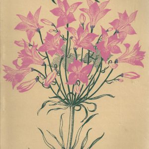 Herbertia 1942 Vol 9 Alstroemerid Edition