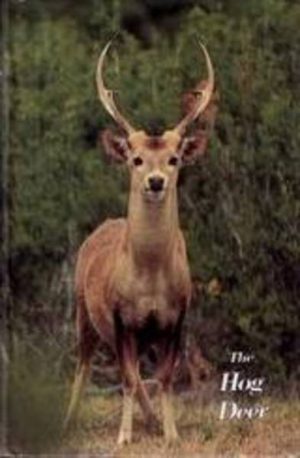 HOG DEER, THE