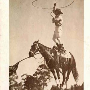 Horse and his Education, The