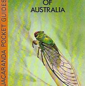 Insects of Australia: An Introduction to the Life and Form of These Small Winged Animals