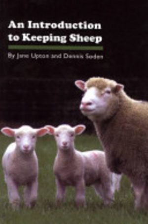 Introduction to Keeping Sheep, An