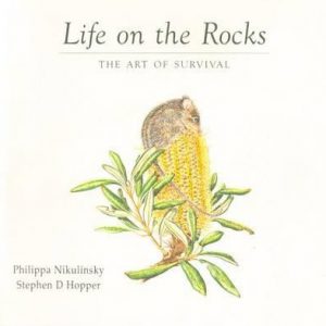 Life on the Rocks: the Art of Survival
