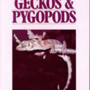 LIZARDS OF WESTERN AUSTRALIA III : Geckos and Pygopods