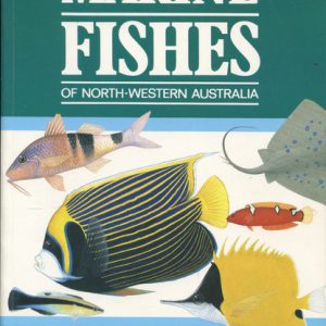 MARINE FISHES OF NORTH-WESTERN AUSTRALIA, THE : A Field Guide for Anglers and Divers