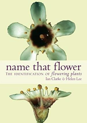 Name That Flower: The Identification of Flowering Plants