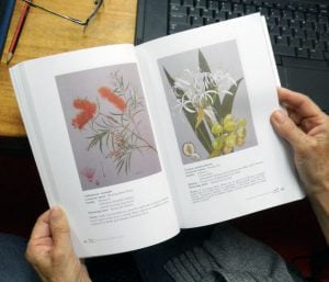 National Treasures: Flowering Plants of Cooktown and Northern Australia