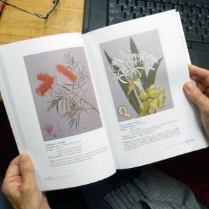 National Treasures: Flowering Plants of Cooktown and Northern Australia