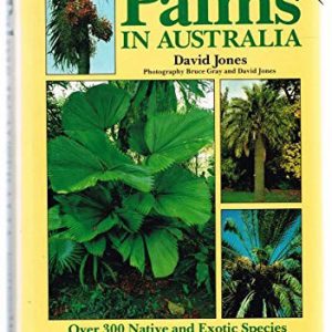 PALMS IN AUSTRALIA