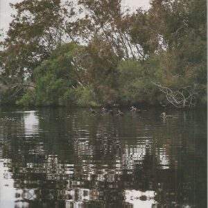 Peripheral vegetation of the Swan and Canning estuaries 1981
