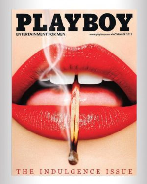 PLAYBOY Magazine 2013 1311 November