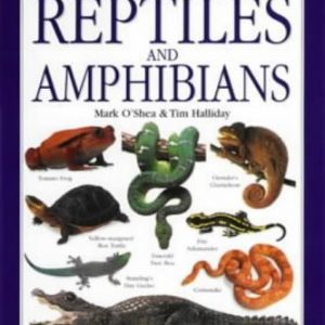 Reptiles & Amphibians