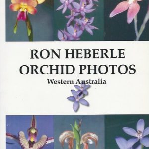 Ron Heberle: Orchid Photos Western Australia