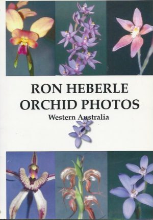 Ron Heberle: Orchid Photos Western Australia