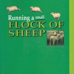 Running a Small Flock of Sheep