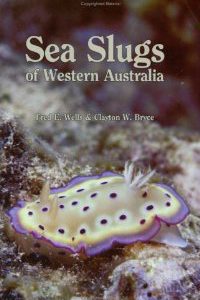 Sea Slugs of Western Australia: A guide to species from the Indian to South-Pacific Oceans.