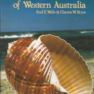 SEASHELLS OF WESTERN AUSTRALIA