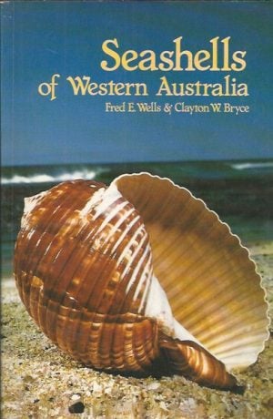 SEASHELLS OF WESTERN AUSTRALIA
