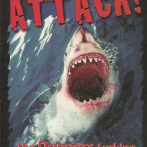 Shark Attack! The Dangers Lurking in Australian Waters