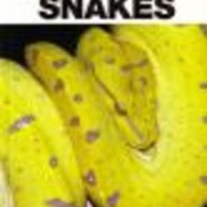 SNAKES: A Wild Australia Guide