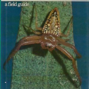 Spiders of Australia: A Field Guide