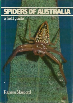 Spiders of Australia: A Field Guide